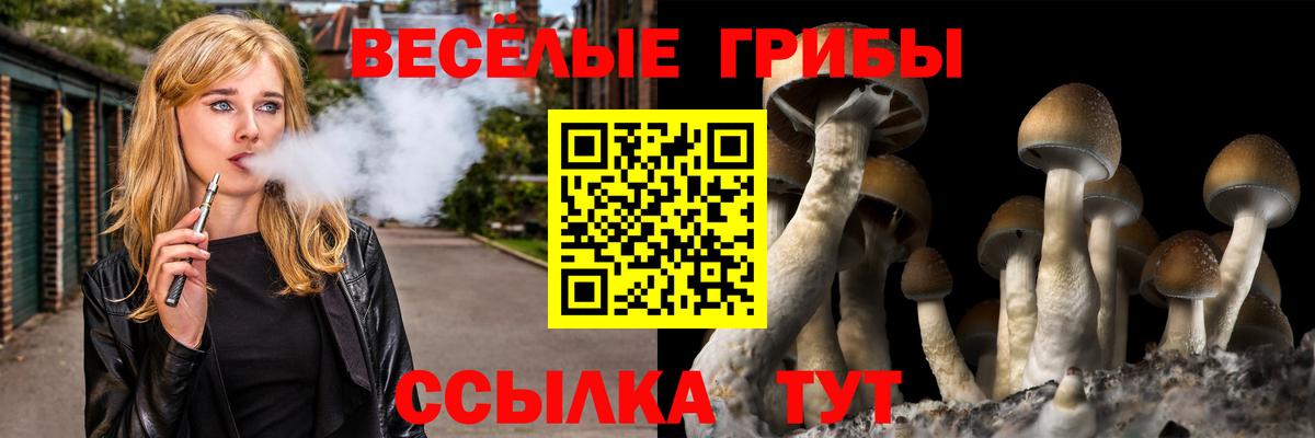 Галлюциногенные грибы ЛСД  Вход с VPN  Сердобск 